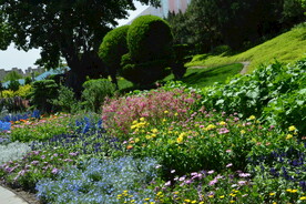 公园风景 
