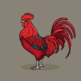 可爱公鸡矢量卡通画儿童插画