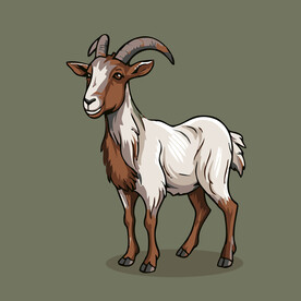 可爱山羊矢量卡通画儿童插画
