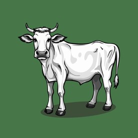 可爱小牛矢量卡通画儿童插画