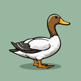 可爱小鸭矢量卡通画儿童插画