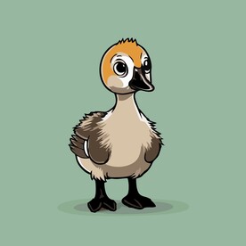 可爱小鸭矢量卡通画儿童插画