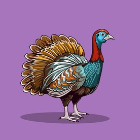 可爱野鸡矢量卡通画儿童插画