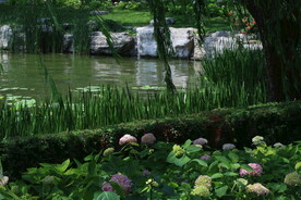 公园风景  