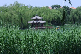 公园风景 