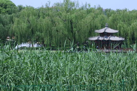 公园风景 