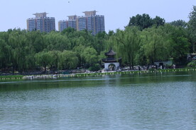 公园风景 
