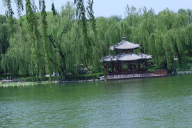公园风景 