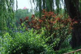 公园风景 