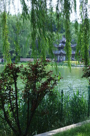 公园风景  