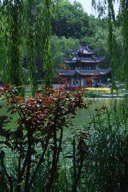 公园风景  