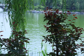 公园风景 
