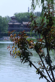 公园风景 