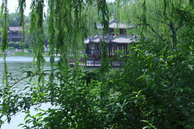 公园风景  
