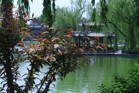 公园风景  
