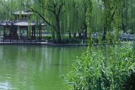 公园风景  