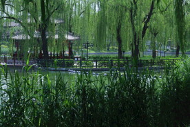 公园风景  