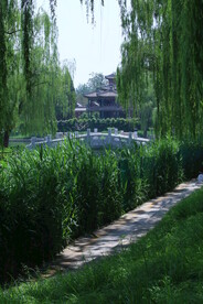 公园风景 