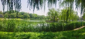 公园风景  