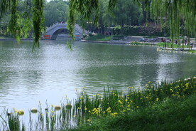 公园风景 