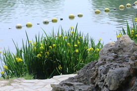公园风景  