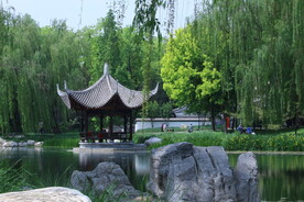 公园风景  
