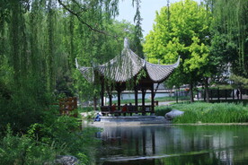 公园风景  