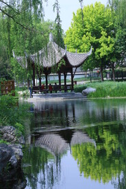 公园风景  