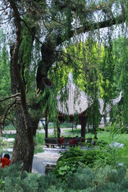 公园风景  