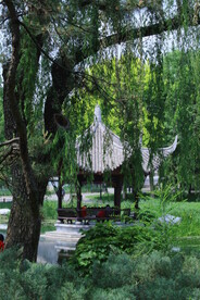 公园风景  