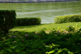 公园风景 
