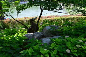 公园风景  