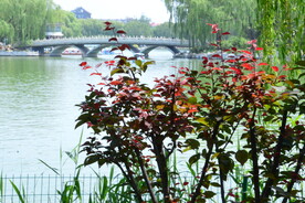 公园风景
