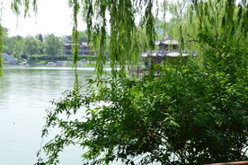 公园风景 