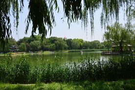 公园风景 