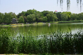 公园风景 