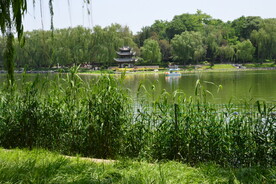 公园风景 