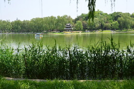 公园风景 