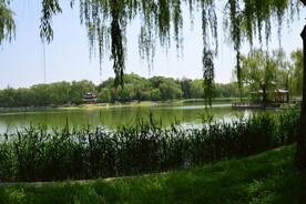 公园风景 
