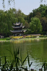 公园风景