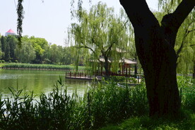公园风景 