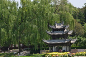 公园风景