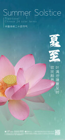 夏至 节气海报