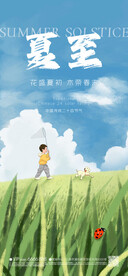 夏至 节气海报