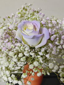 玫瑰插花