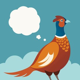 思考的锦鸡