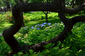 公园风景 