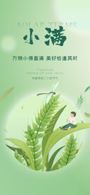 小满 节气海报