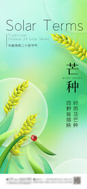 芒种 节气海报