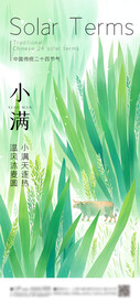 小满 节气海报